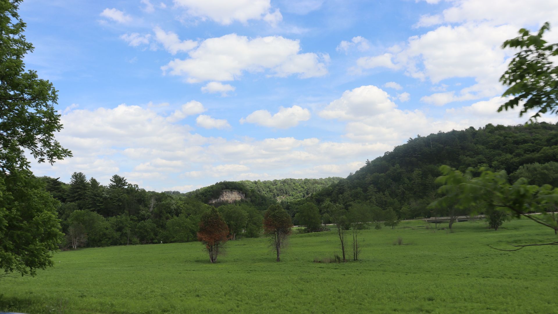 Greenery